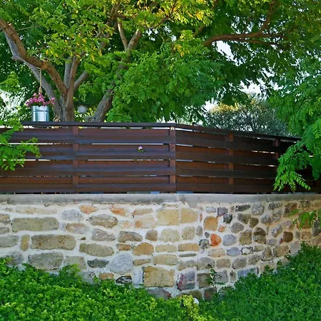 Acacia * Fanes (Rhodes)